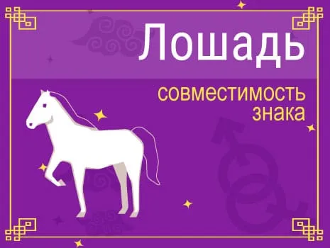 Совместимость Лошади с другими знаками